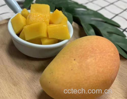 家庭场景中小台芒食用方式组图