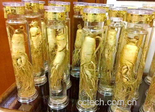 鲜人参切片浸泡过程对比图