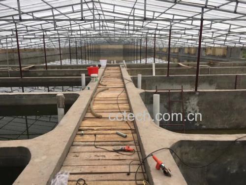 南美白对虾养殖基地航拍图