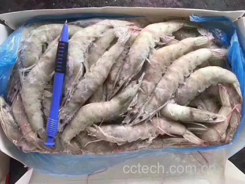 超市冷柜中陈列的包装红尾对虾产品,标有养殖信息和二维码溯源