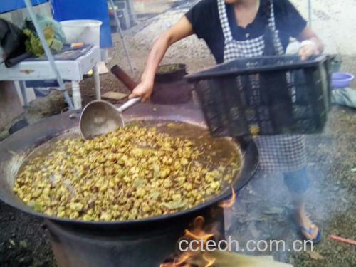 八角用于炖肉的示意图