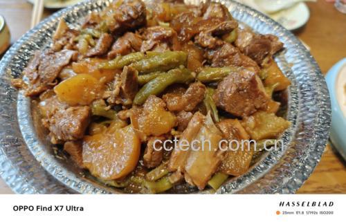 炖豆角成品特写