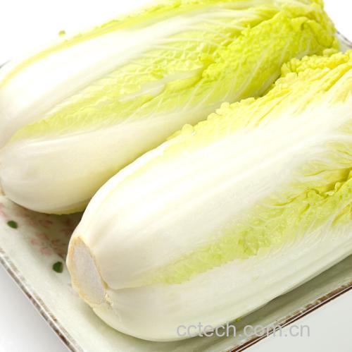 白菜整株及菜叶与菜帮分离对比图