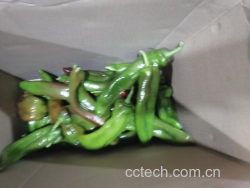 脆椒食材展示图