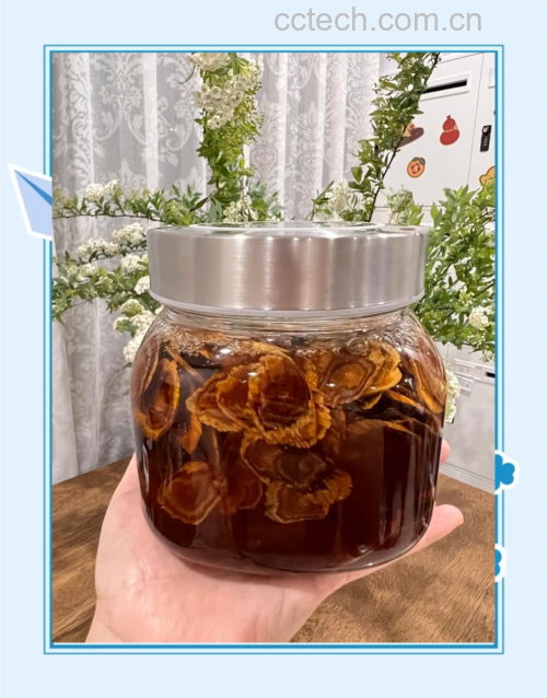 血橙提取物应用场景拼贴图