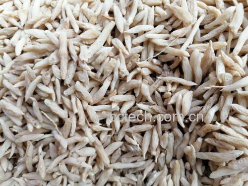 黑豆与麦冬药材对比图