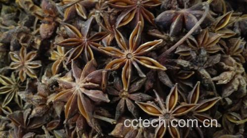八角在烹饪中的使用场景图