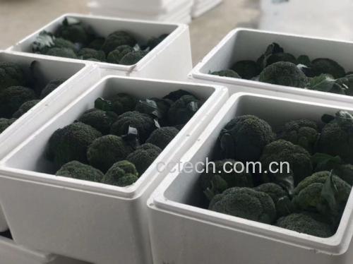 蒜蓉西兰花成品图
