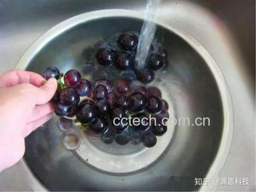 葡萄清洗过程示意图