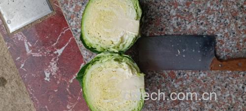 牛心甘蓝烹饪场景图