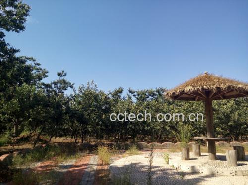 迁西板栗种植基地航拍图