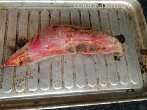 一位家庭主妇正在厨房用锡纸包裹济薯26地瓜准备放入烤箱,操作台上有切开的生薯块展示内部橙黄色的薯肉