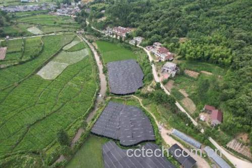 松杉赤灵芝栽培基地航拍全景图