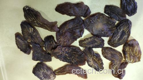 肉苁蓉植株与切片对比图