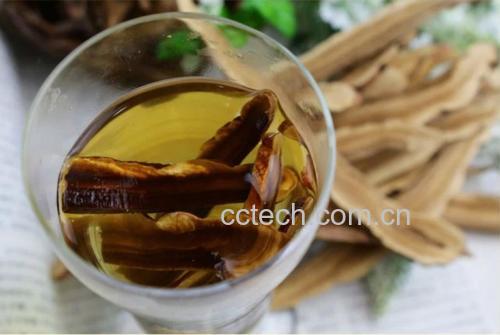 灵芝切片泡水过程示意图