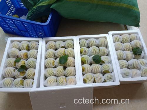 金鸭梨果酱成品图