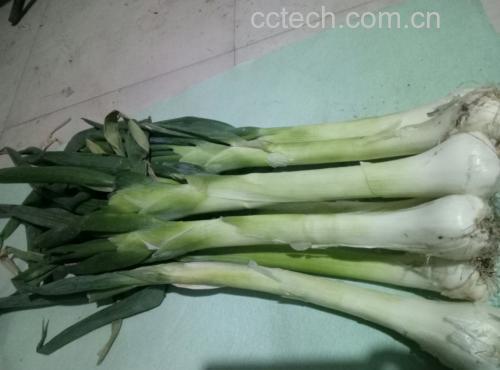鸡腿炒大葱成品图