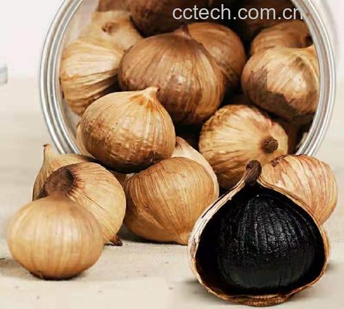 黑大蒜制作步骤二:发酵过程中的大蒜颜色变化