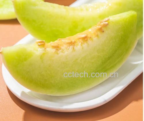 玉菇甜瓜整体外观特写