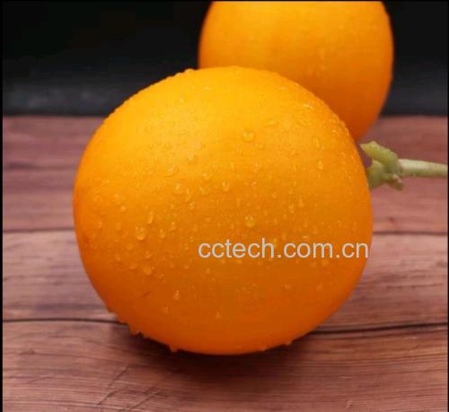 久红瑞甜瓜切面图