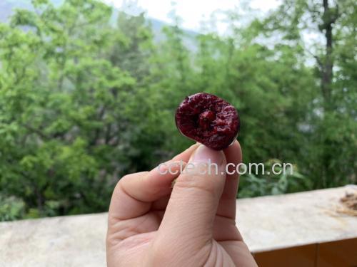 车厘子果肉与果核之间出现空隙