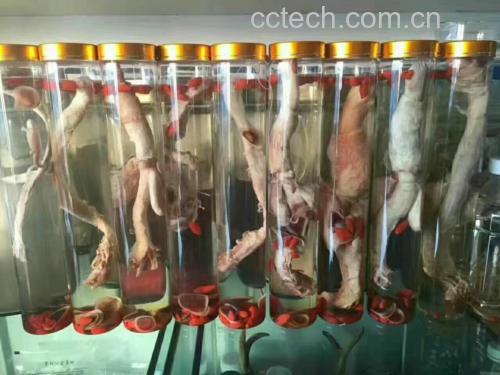 鹿鞭泡水成品图