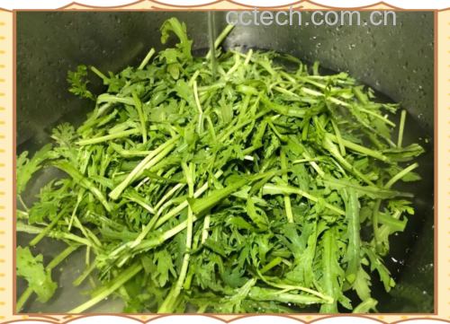 野菊花嫩叶清洗与焯水过程