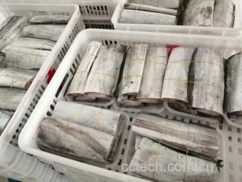 带鱼新鲜与冻黄对比图