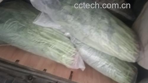 超市货架上陈列的新鲜包装菠菜