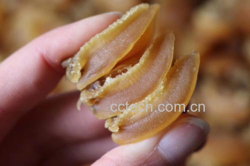 低胆固醇的优质蛋白来源推荐