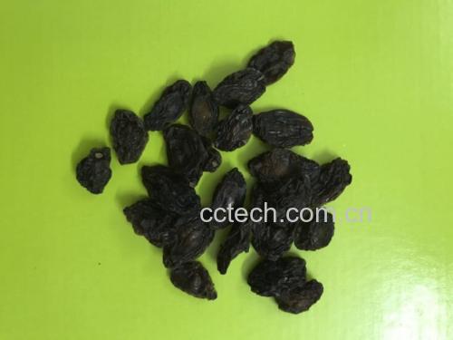 山楂干发黑现象展示图