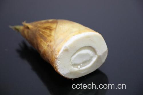 竹笋特写