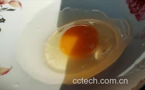橙子蒸蛋制作过程
