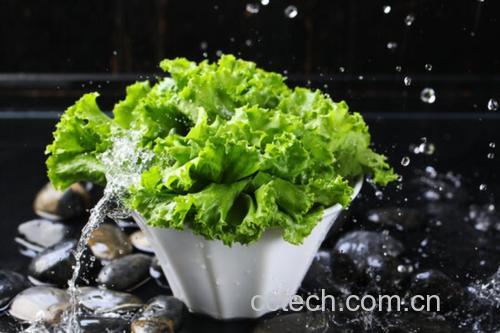 切开的花椰菜小朵在清水中漂洗过程