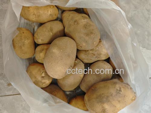土豆与西红柿营养价值对比图