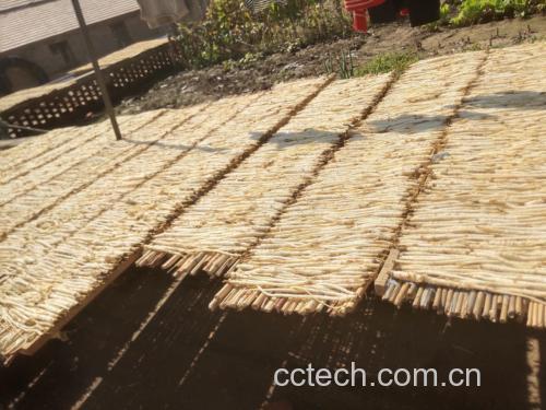 传统中药房内药师正在研磨北沙参制作沙参散
