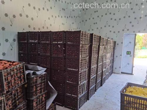 脆红李子家庭储存方法示意图