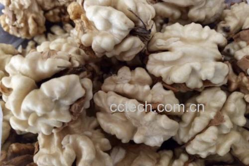 带皮核桃与去壳核桃仁对比图