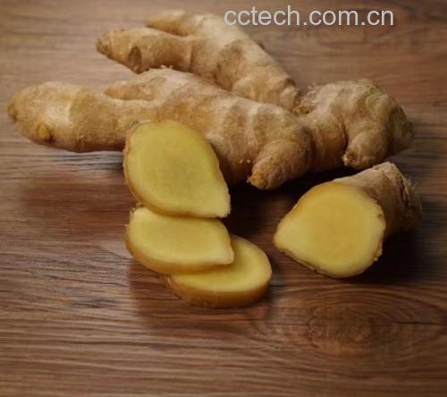 生姜选购与保存指南