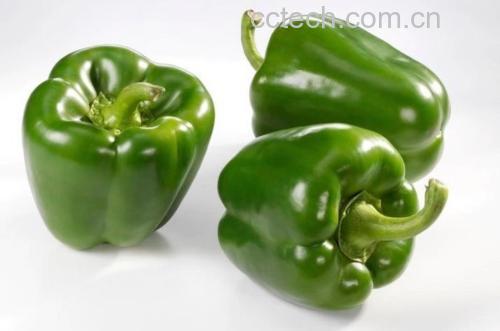 芹菜与圆椒新鲜食材对比图