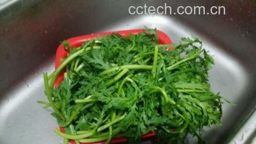 生菜和茼蒿的清洗与处理