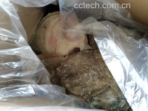多宝鱼在不同储存条件下的对比示意图