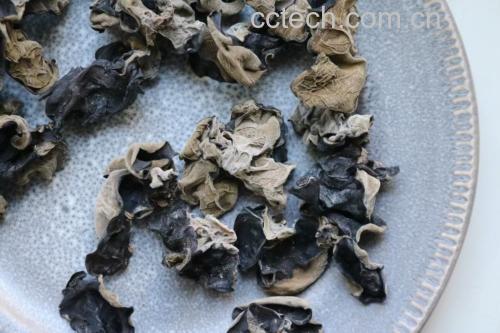 黑木耳泡发前后对比图