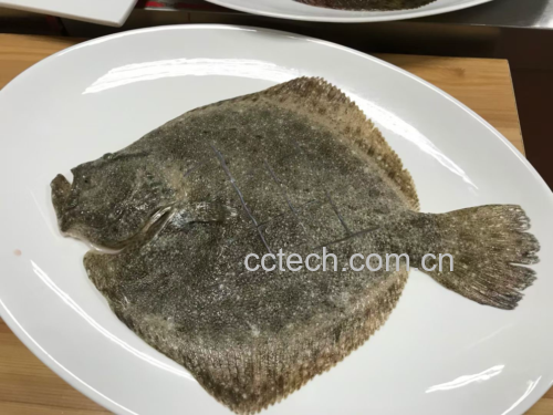 市场售卖的整条多宝鱼特写