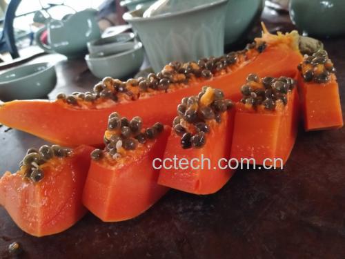 女性在厨房制作木瓜牛奶饮品