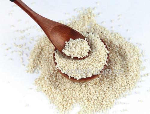 芝麻日常食用场景组合图