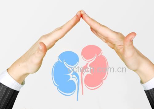 多囊肾结构示意图