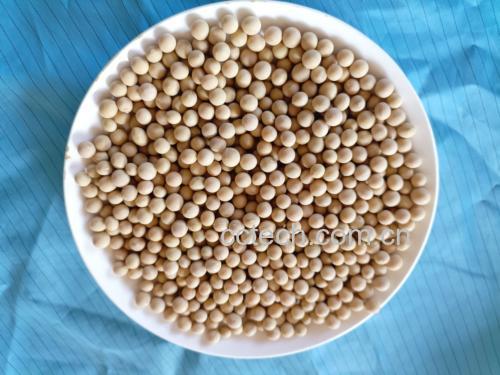 大豆油瓶与新鲜黄豆组合图