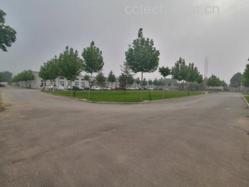 丝瓜花特写图