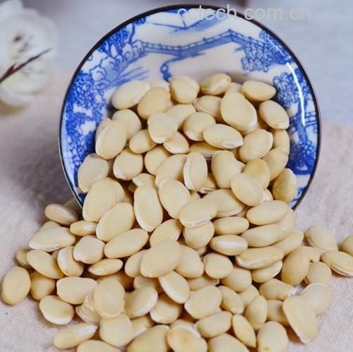 营养师在咨询台前向顾客讲解韭菜与豆沙的食用注意事项